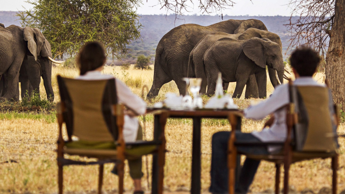 6 Essential Tips To Look Out For On Your Tanzania Safari Tours
