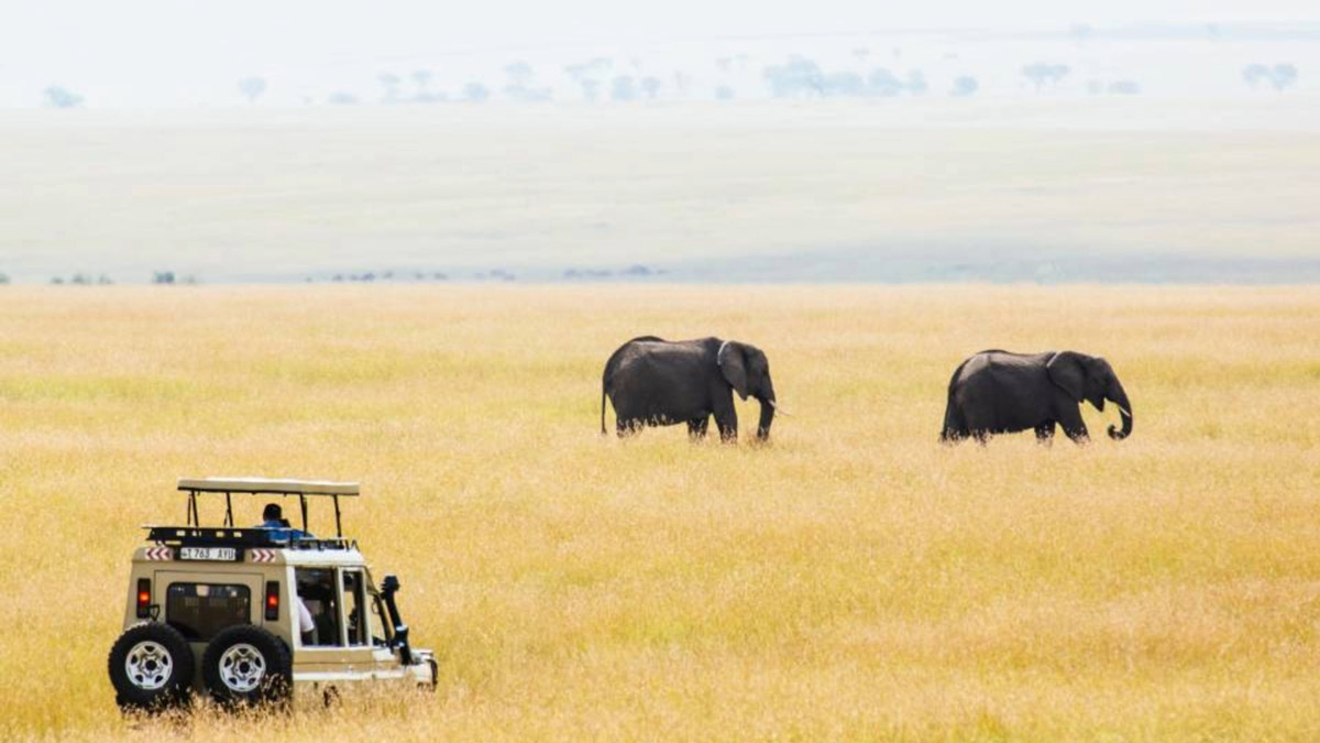 Beyond The Big 5 In Tanzania
