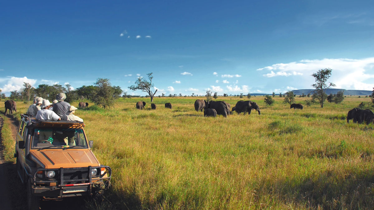 Why Tanzania Could Be the Best Safari Destination