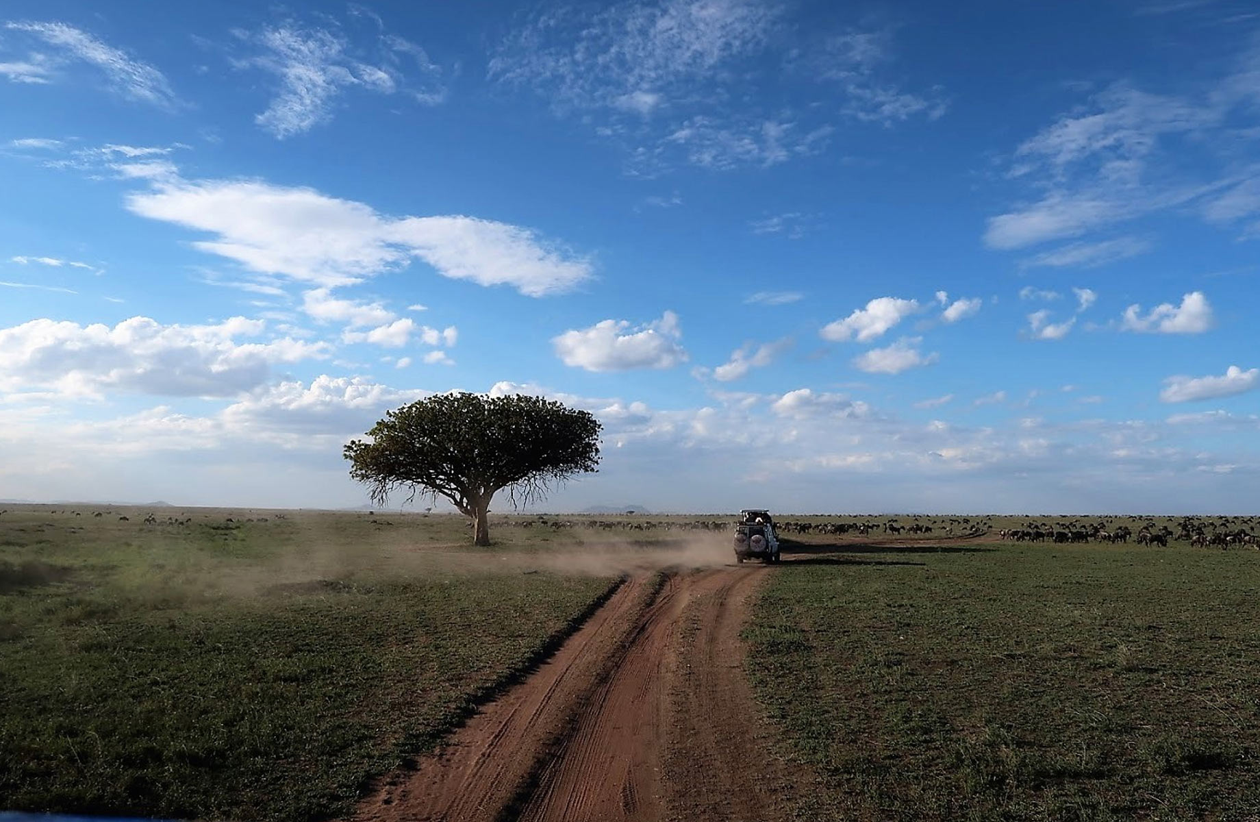 Best Time to Travel to Tanzania – Climate, Wildlife, Culture, and Beaches