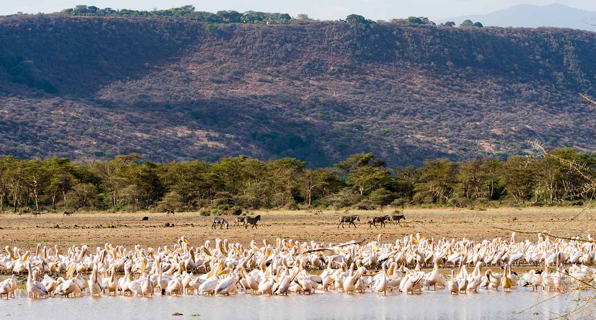 lake manyara NP