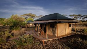 Baobab Central Serengeti Camp 4