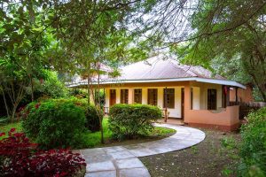 Eileens Trees Inn 15
