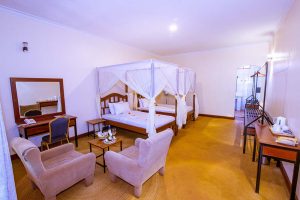 Eileens Trees Inn 2