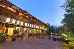 Eileens Trees Inn 20