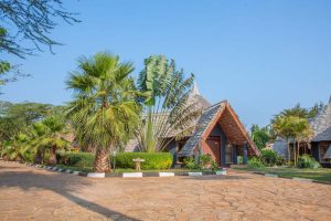 Farm of Dreams Lodge 1