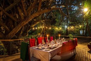 Mount Meru Game Lodge 1