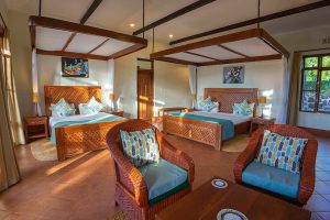 Ngorongoro coffee lodge 23