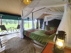 Serengeti View Camp South Rongai 9 1024x768 1