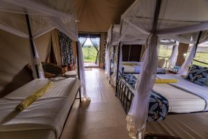 Serengeti Wildebeest Camp 20