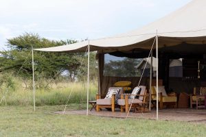 Serengeti Wilderness Camp 25