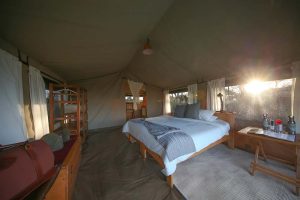 Serengeti Wilderness Camp 28