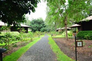 arusha coffee lodge outside hangout area