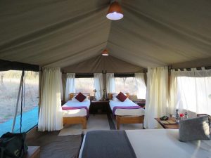 serengeti north wilderness camp 15