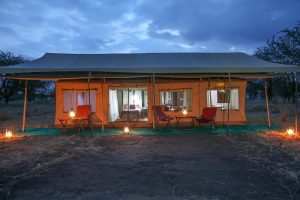 serengeti north wilderness camp 16