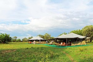 serengeti north wilderness camp 2